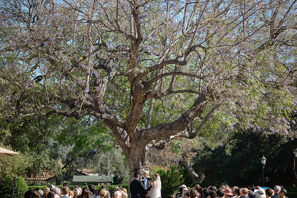 2026 Sarah & Byron Wedding