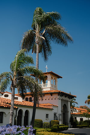 Vanessa & Michael Wedding 2026
