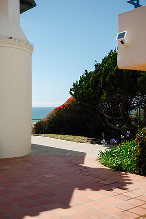 Vanessa & Michael Wedding 2026