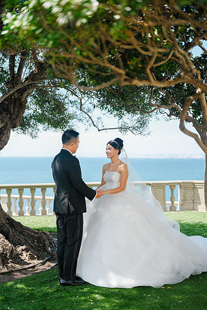 Vanessa & Michael Wedding 2026