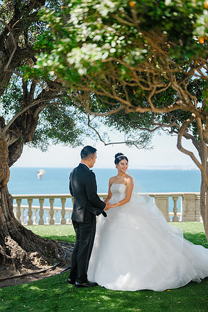 Vanessa & Michael Wedding 2026