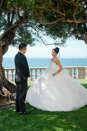Vanessa & Michael Wedding 2026