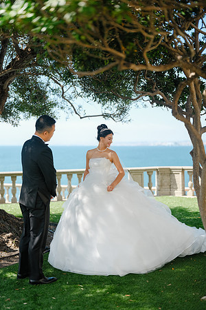 Vanessa & Michael Wedding 2026