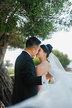 Vanessa & Michael Wedding 2026