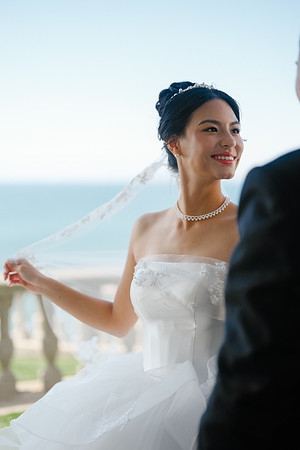 Vanessa & Michael Wedding 2026