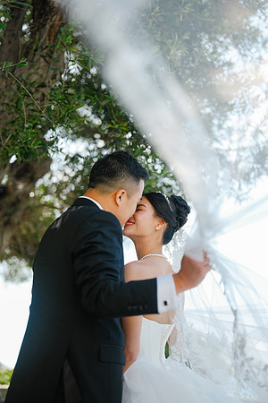 Vanessa & Michael Wedding 2026