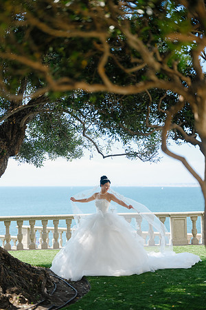Vanessa & Michael Wedding 2026
