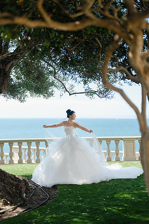 Vanessa & Michael Wedding 2026