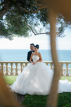 Vanessa & Michael Wedding 2026
