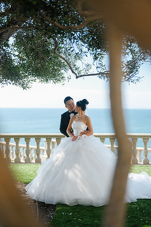 Vanessa & Michael Wedding 2026