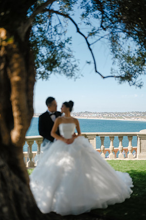 Vanessa & Michael Wedding 2026