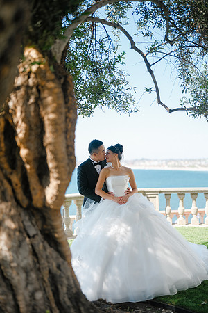 Vanessa & Michael Wedding 2026