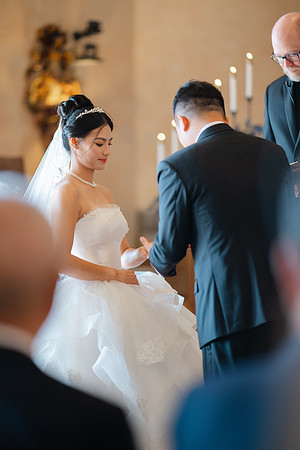 Vanessa & Michael Wedding 2026