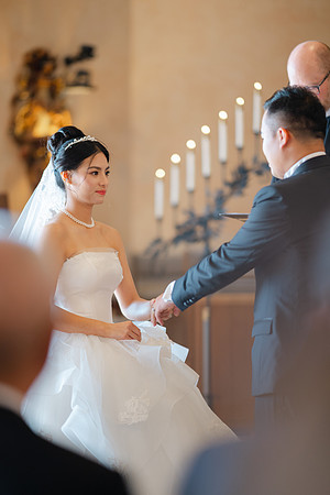 Vanessa & Michael Wedding 2026