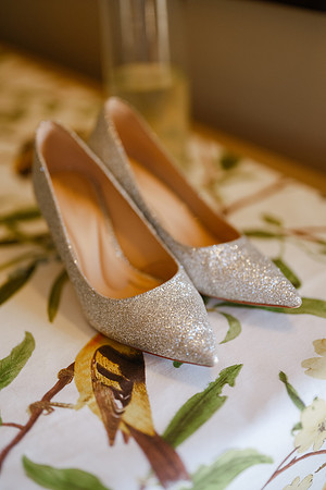 Vanessa & Michael Wedding 2026