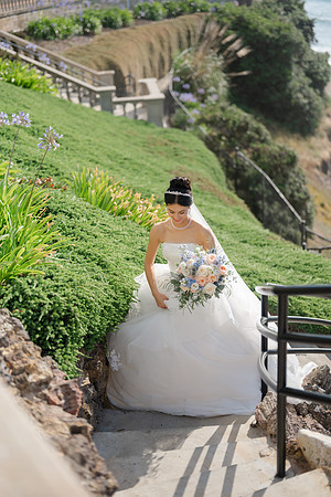 Vanessa & Michael Wedding 2026