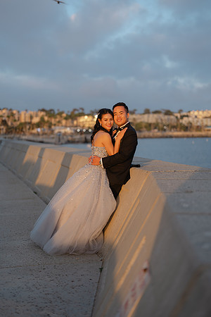 Vanessa & Michael Wedding 2026