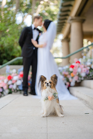 2026 Annie and Mathew Castle Green Wedding