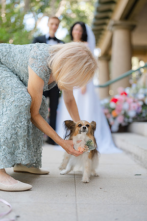 2026 Annie and Mathew Castle Green Wedding