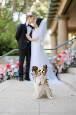 2026 Annie and Mathew Castle Green Wedding