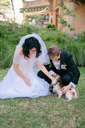 2026 Annie and Mathew Castle Green Wedding