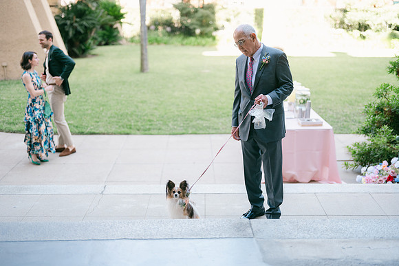 2026 Annie and Mathew Castle Green Wedding