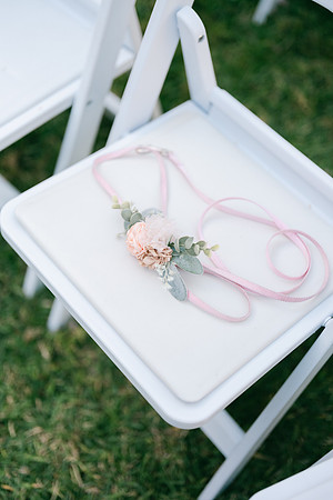 2026 Annie and Mathew Castle Green Wedding