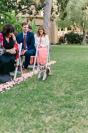 2026 Annie and Mathew Castle Green Wedding