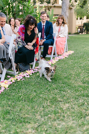 2026 Annie and Mathew Castle Green Wedding