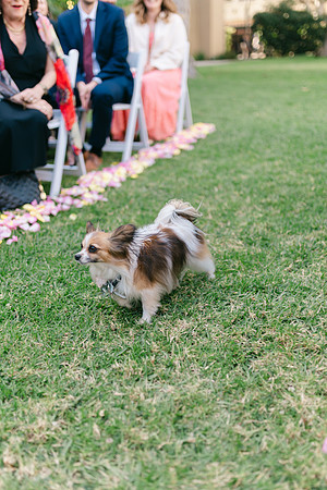 2026 Annie and Mathew Castle Green Wedding