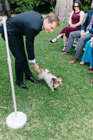 2026 Annie and Mathew Castle Green Wedding