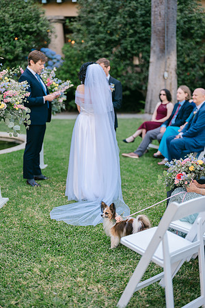 2026 Annie and Mathew Castle Green Wedding
