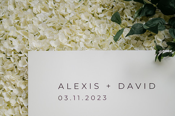 Alexis and David Glen Ivy Wedding