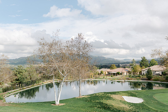 Alexis and David Glen Ivy Wedding