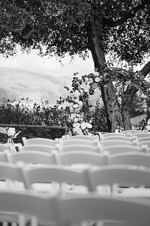 Alexis and David Glen Ivy Wedding