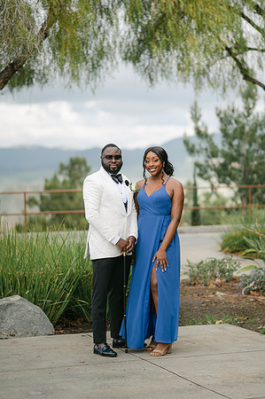 Alexis and David Glen Ivy Wedding