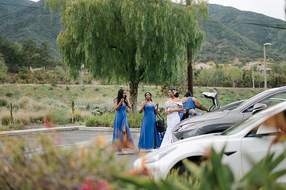 Alexis and David Glen Ivy Wedding