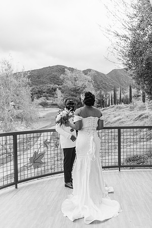 Alexis and David Glen Ivy Wedding