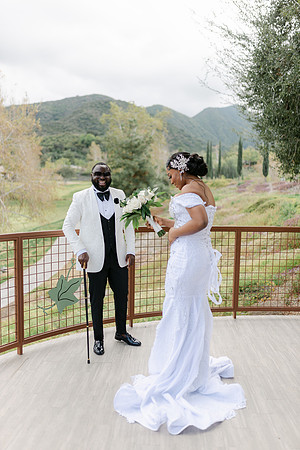 Alexis and David Glen Ivy Wedding