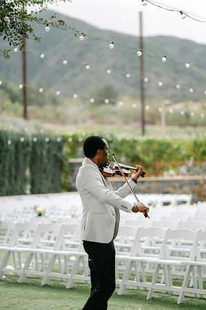Alexis and David Glen Ivy Wedding
