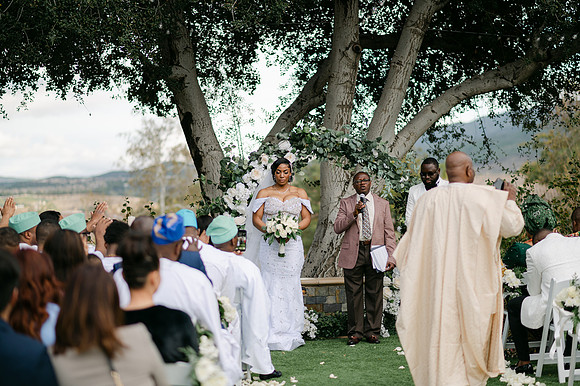Alexis and David Glen Ivy Wedding