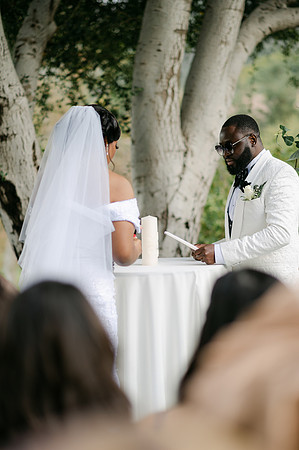 Alexis and David Glen Ivy Wedding