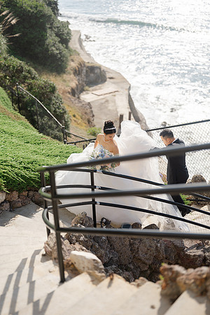Vanessa & Michael Wedding 2026