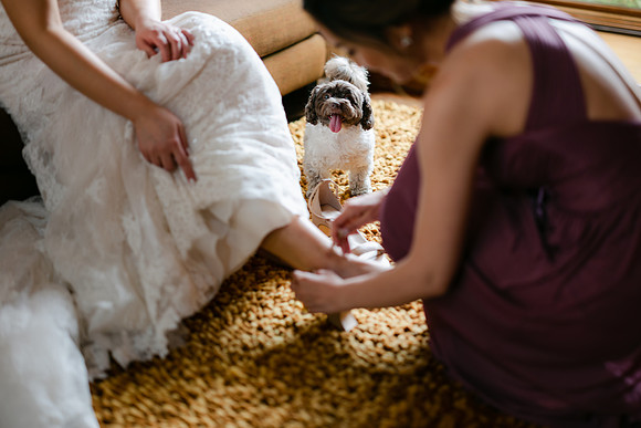 CRYSTAL AND JOHN SUMMIT HOUSE WEDDING 2023