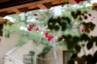 CRYSTAL AND JOHN SUMMIT HOUSE WEDDING 2023