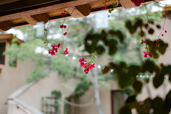 CRYSTAL AND JOHN SUMMIT HOUSE WEDDING 2023