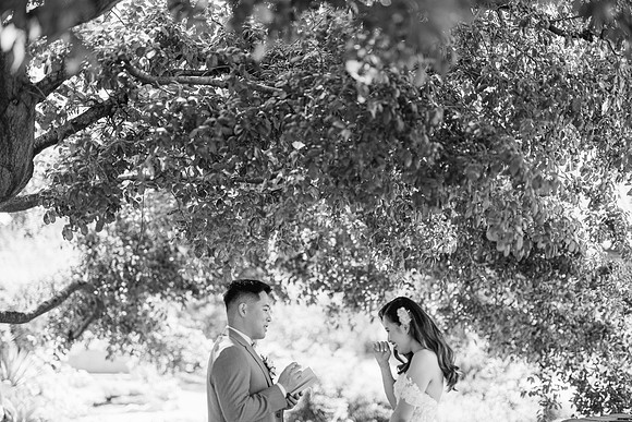 20230422 Elaine & Steven San Juan Capistrano Wedding