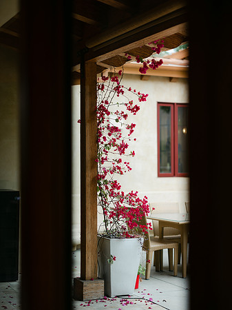 CRYSTAL AND JOHN SUMMIT HOUSE WEDDING 2023