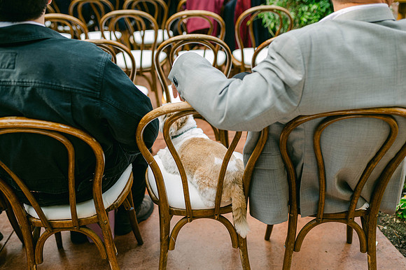 20230422 Elaine & Steven San Juan Capistrano Wedding