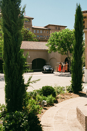 Sayleh & David Wedding